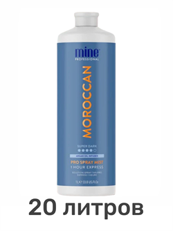 Лосьон MineTan Moroccan Pro Spray Mist 13% DHA 1000 мл (20 литров) 2191 - фото 9139