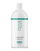 Лосьон MineTan Olive Pro Spray Mist 14% DHA 1000 мл