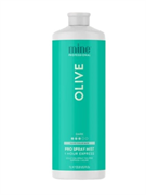 Лосьон MineTan Olive Pro Spray Mist 14% DHA 1000 мл