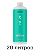 Лосьон MineTan Olive Pro Spray Mist 14% DHA 1000 мл (20 литров) 2193